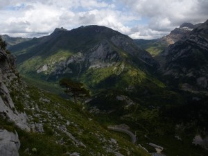 Travesía andando, desde el árbol.